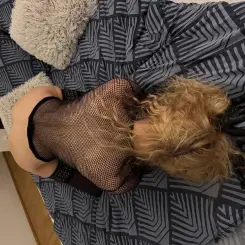 Stella, Szexpartner VII. kerület, 45 év Nő VII. kerület Budapest Magyarország, +36707472665